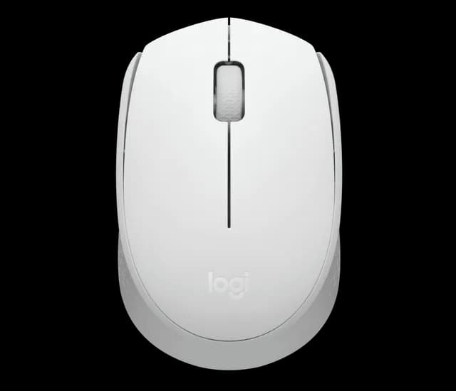 Souris Sans Fil Logitech M171 Black